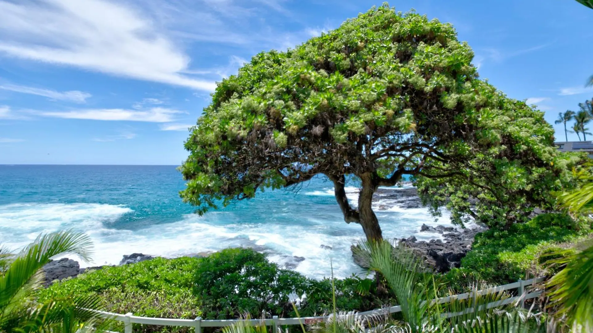 Royal Sea Cliff Kona By Outrigger - Select Your Unit Kailua-Kona