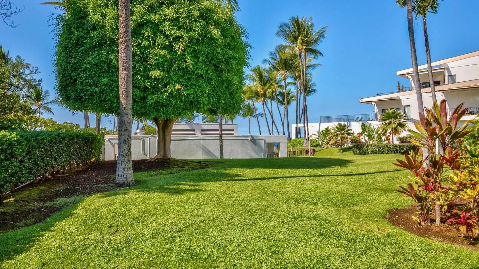 קאילואה-קונה Royal Sea Cliff Kona By Outrigger - Select Your Unit 0*,  ארצות הברית